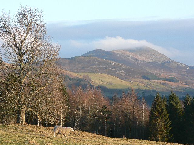 Falls of Bruar from Blair Castle