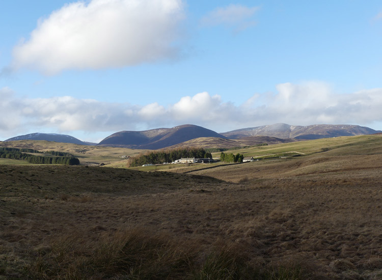 Farm and Forest Walk